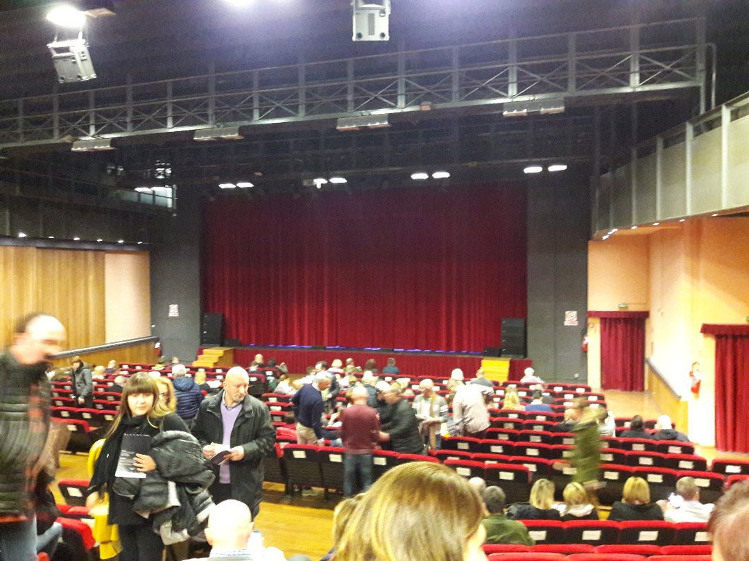 Teatro Giuditta Pasta景点图片