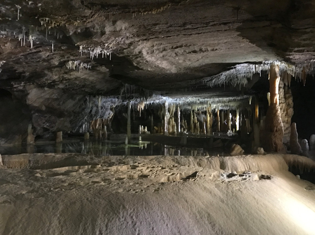 Lakes Mini Bus Charter & Tours-莱克斯恩特伦斯必去景点