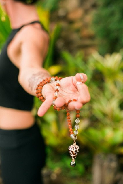 Rooted Flight-海库必去景点