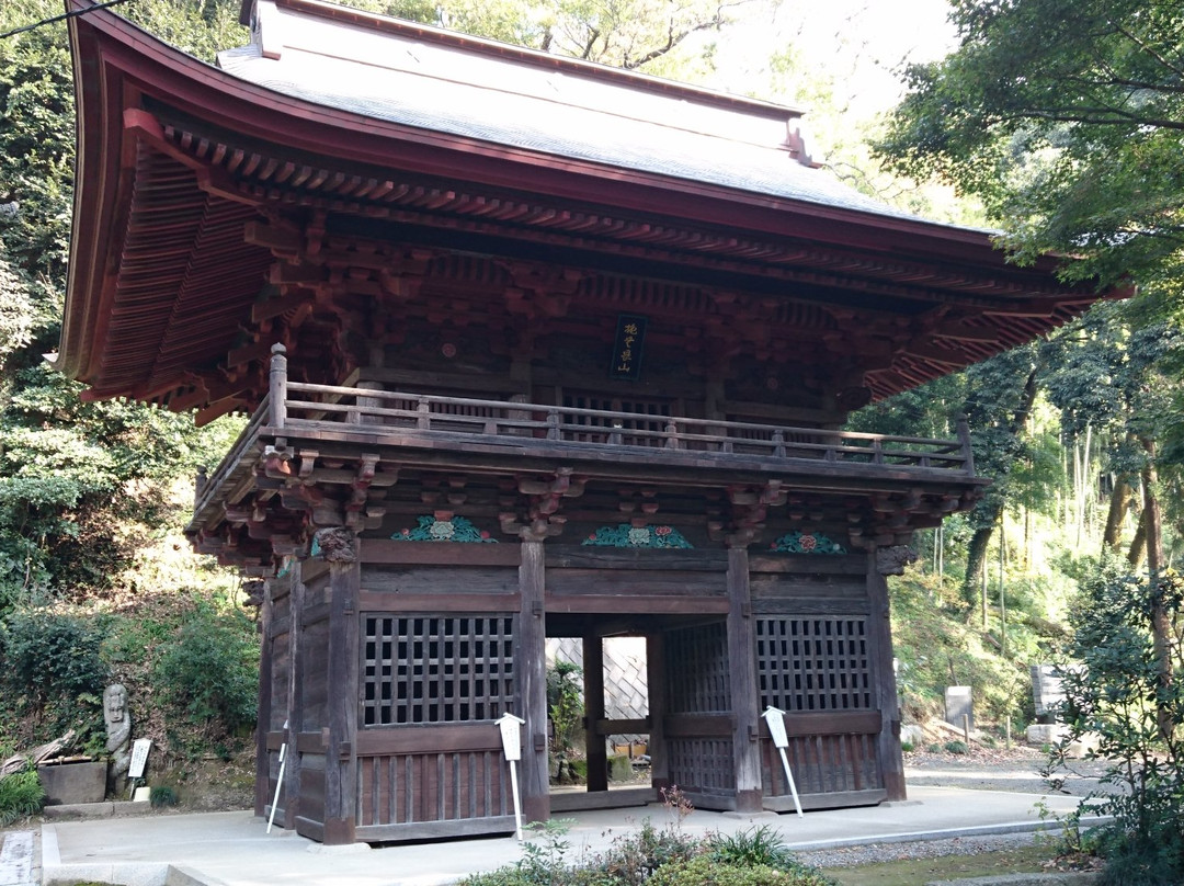 Oyama-ji Temple Tomiya Kannon-樱川市必去景点