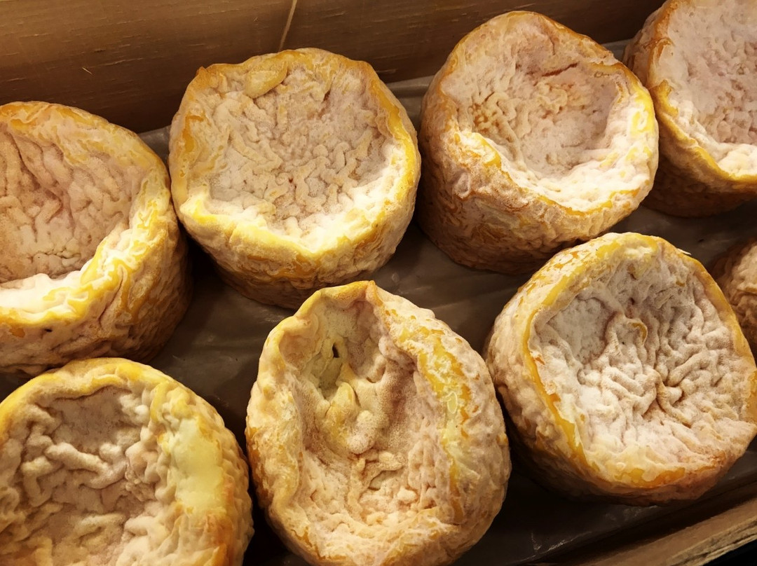 Den Hout旅游景点-'t Kaaspunt