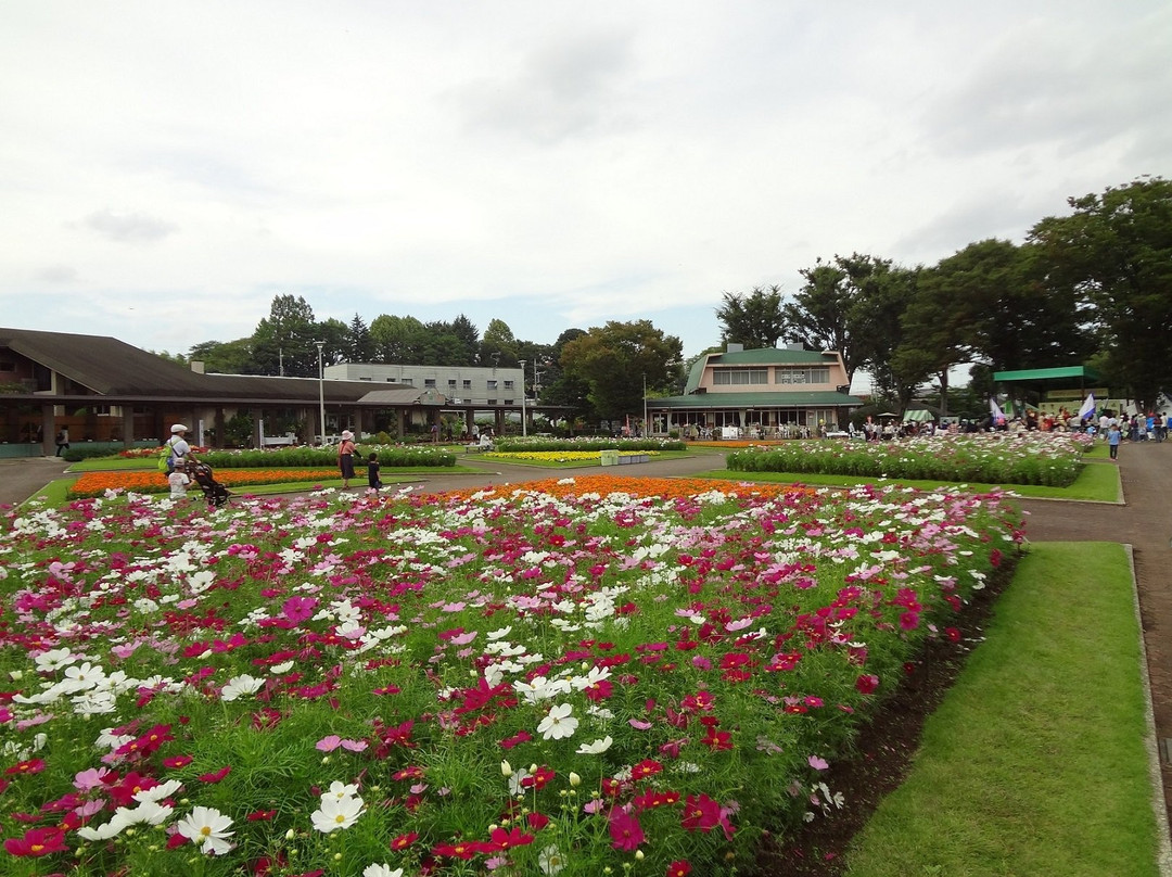 Kawaguchi Green Center-川口市必去景点