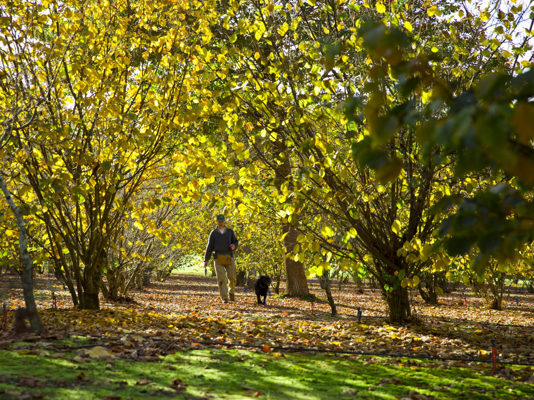 Genuinely Extraordinary Southern Forests Food and Farm Experience-Manjimup必去景点