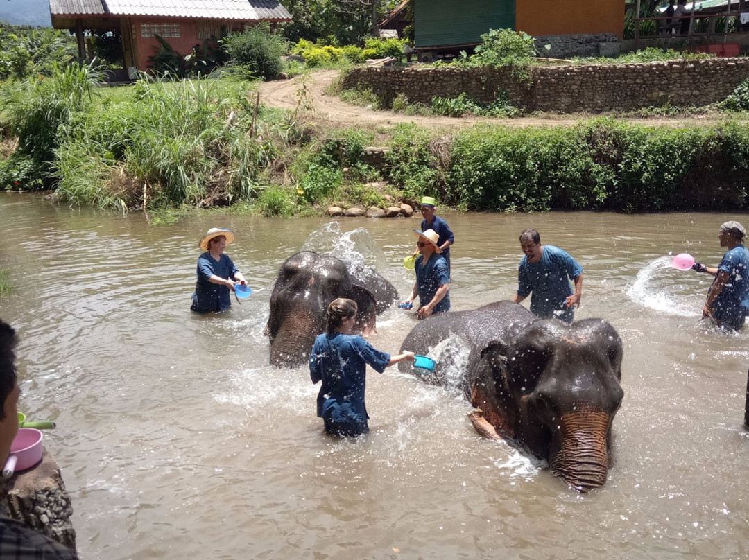 Baan Tung Lakorn Elephant Camp-夜登必去景点