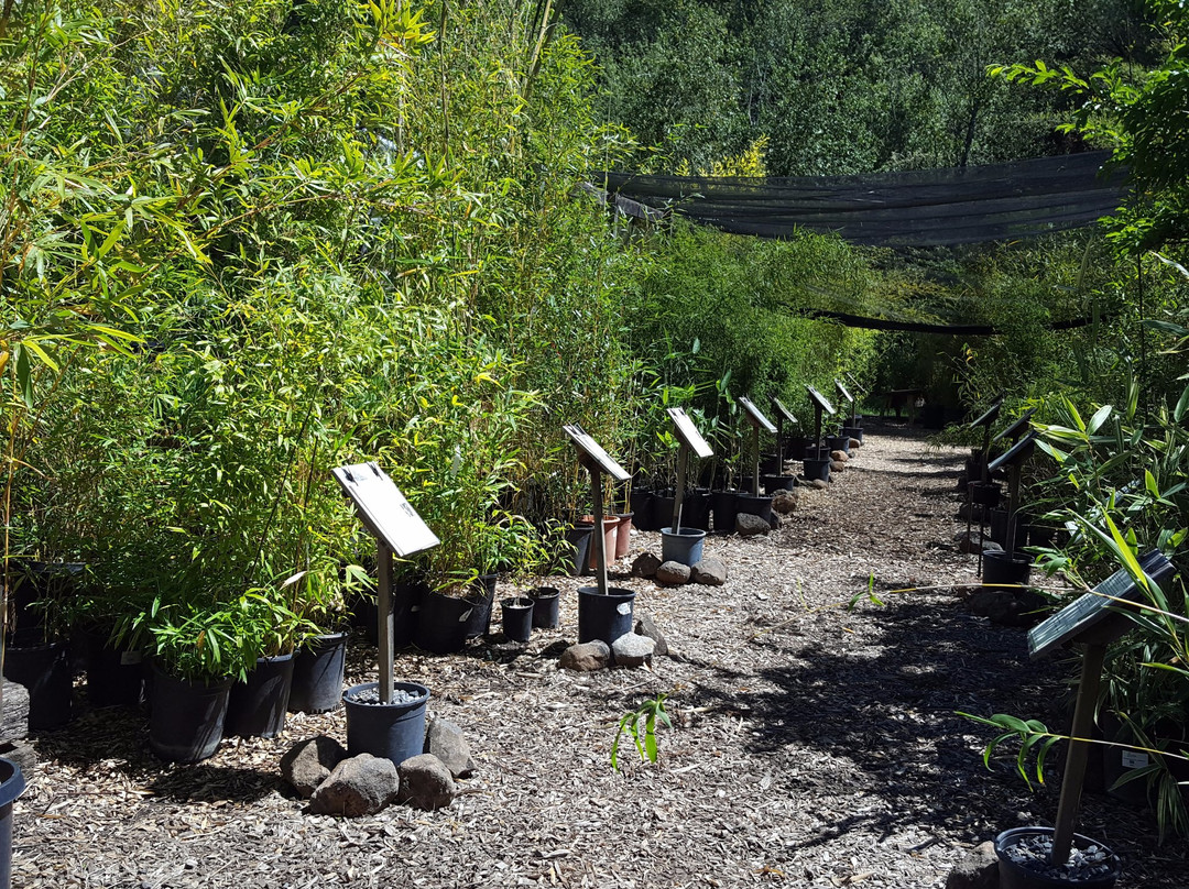 Bamboo Sourcery Nursery & Gardens-Sebastopol必去景点