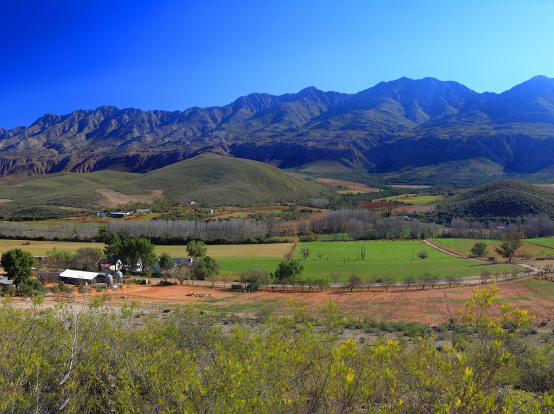 Latana Cheese-奥兹洪必去景点