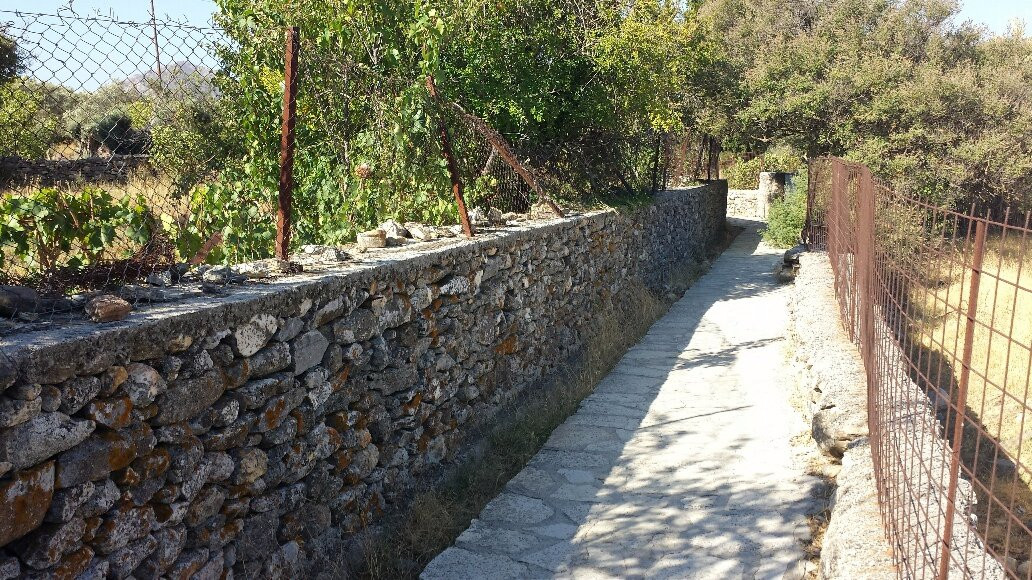 Olive Groves & Byzantine Park Trail of Tragea景点图片