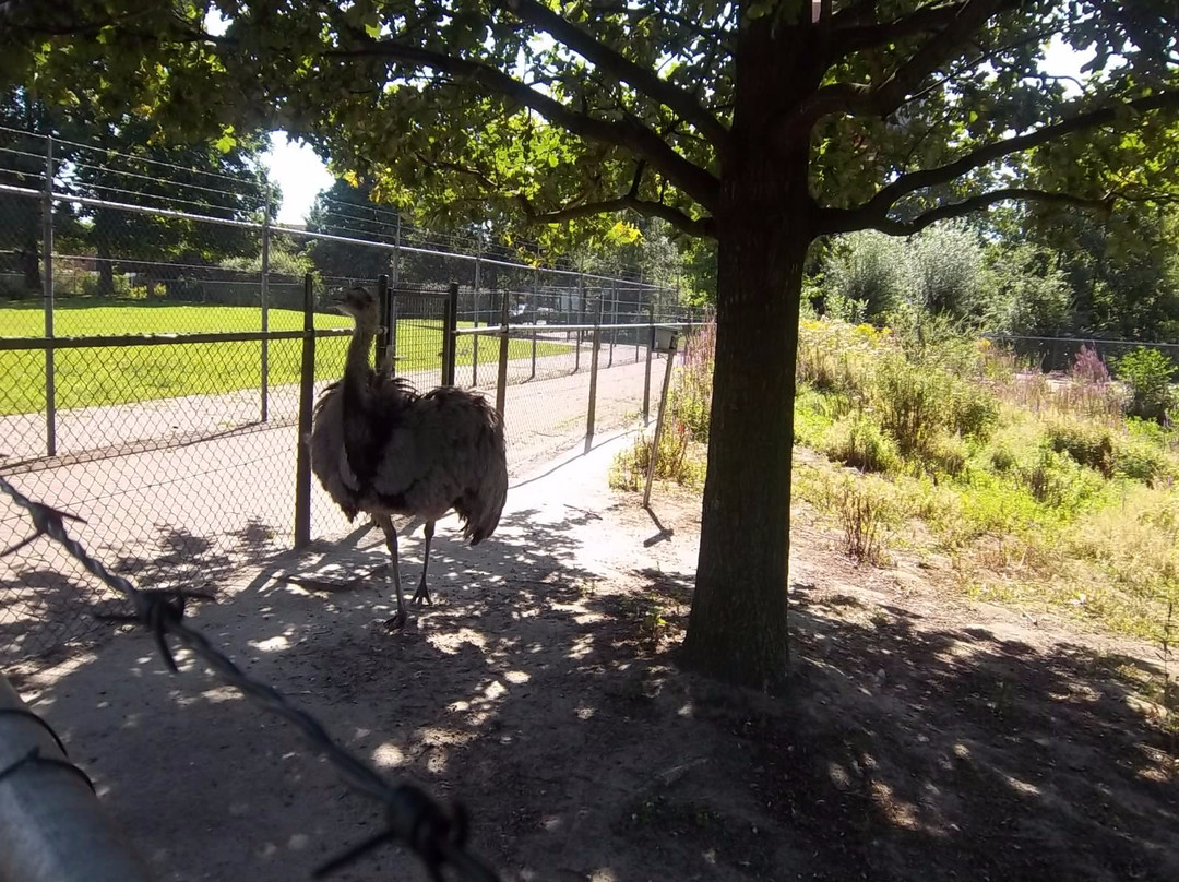 Kinderboerderij 't Weusthag景点图片