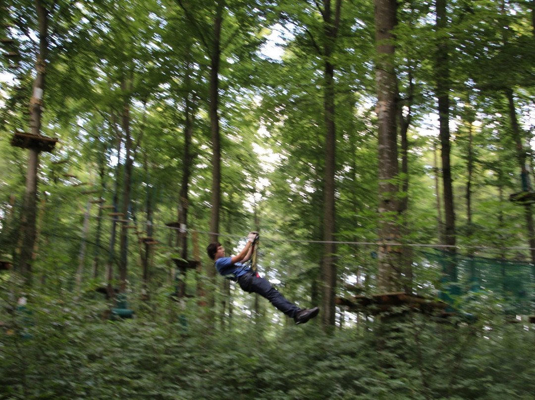 Kletterwald