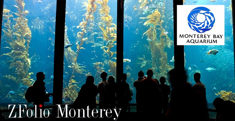 ZFolio Gallery-蒙特雷必去景点