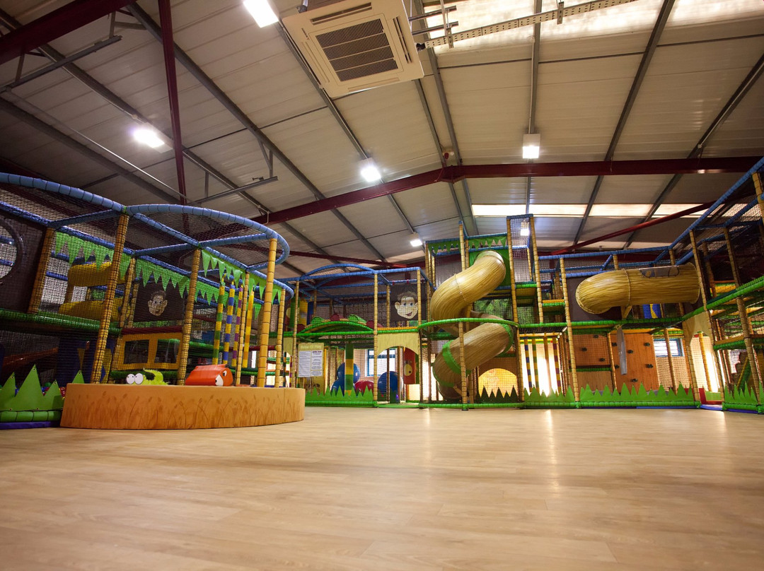 Jungle Jack's-纽奎必去景点