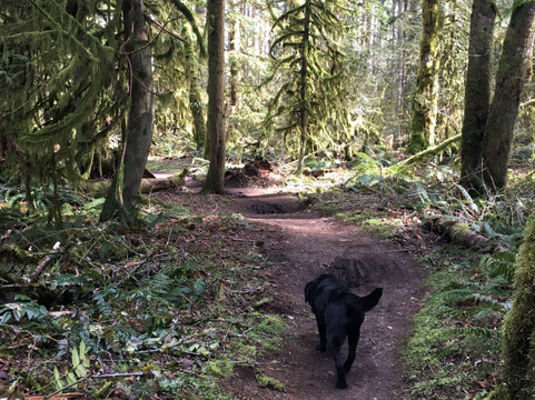 Soaring Eagle Park-Sammamish必去景点