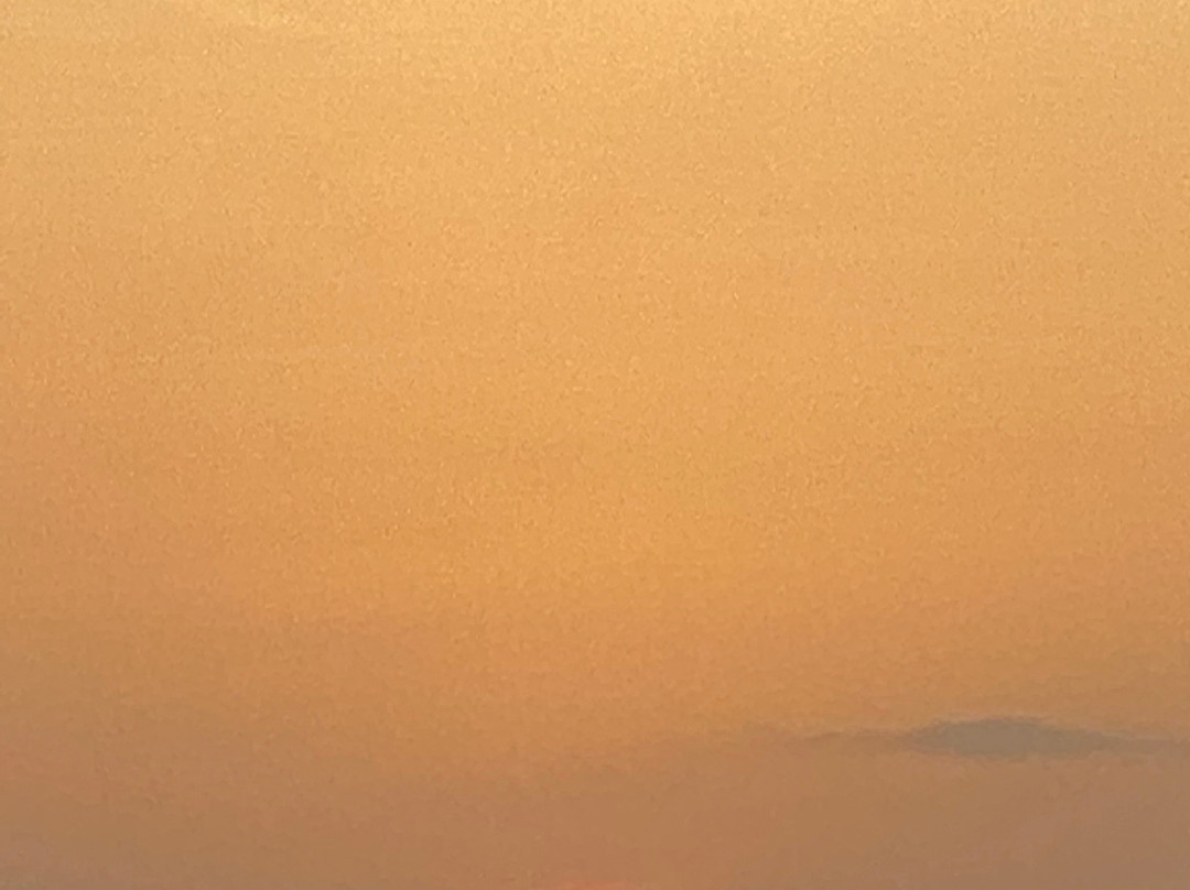 OYO 12347 MV Residency Near KSRTC Bus Stand, Coorg