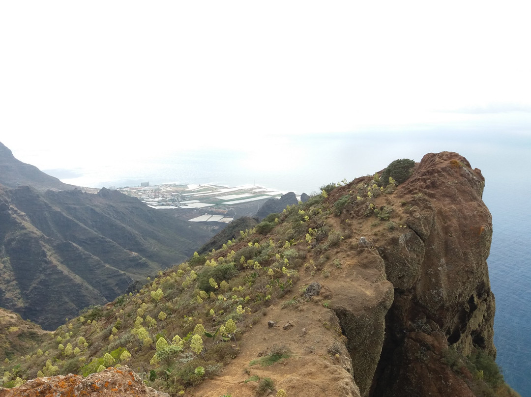 Punta del Hidalgo旅游景点-Mirador de Aguaide