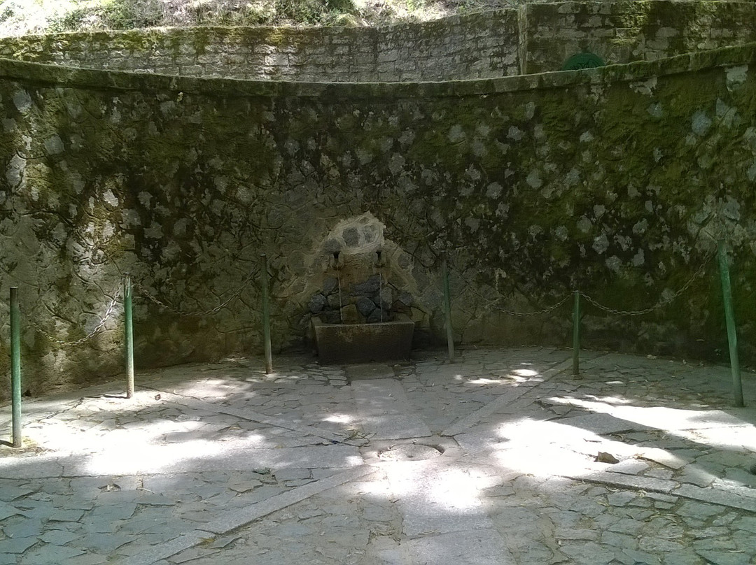 Nuchis旅游景点-Fonti di Rinaggiu