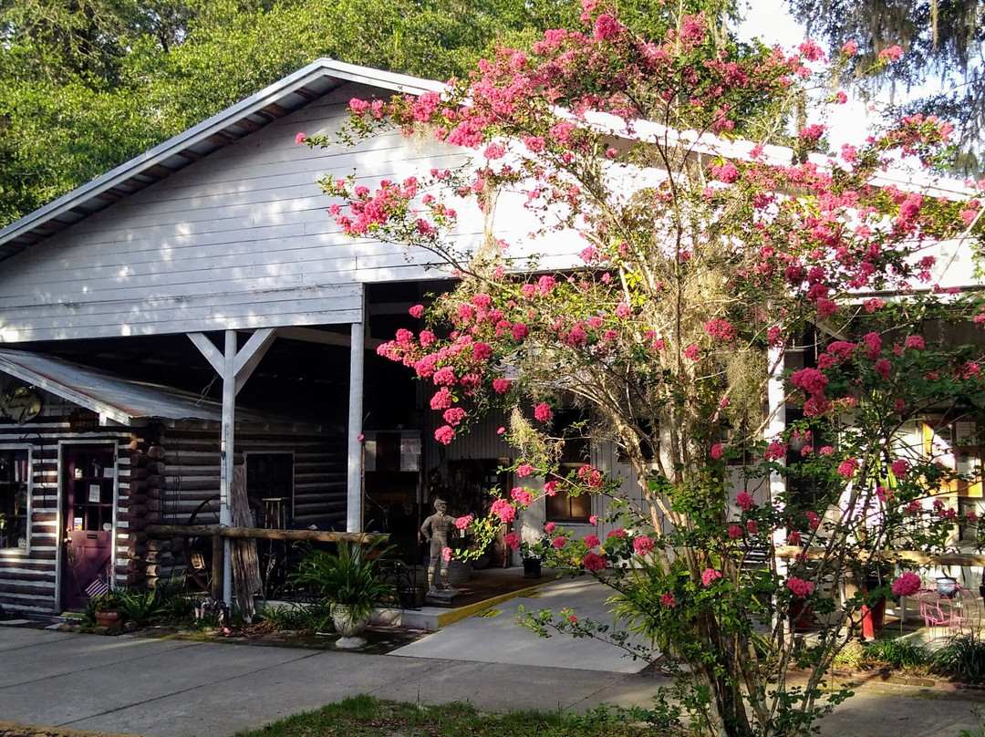 Micanopy Trading Outpost景点图片