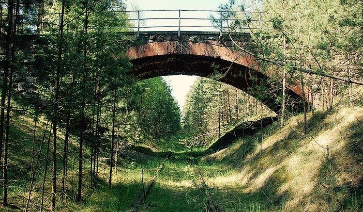 National Park Bory Tucholskie景点图片