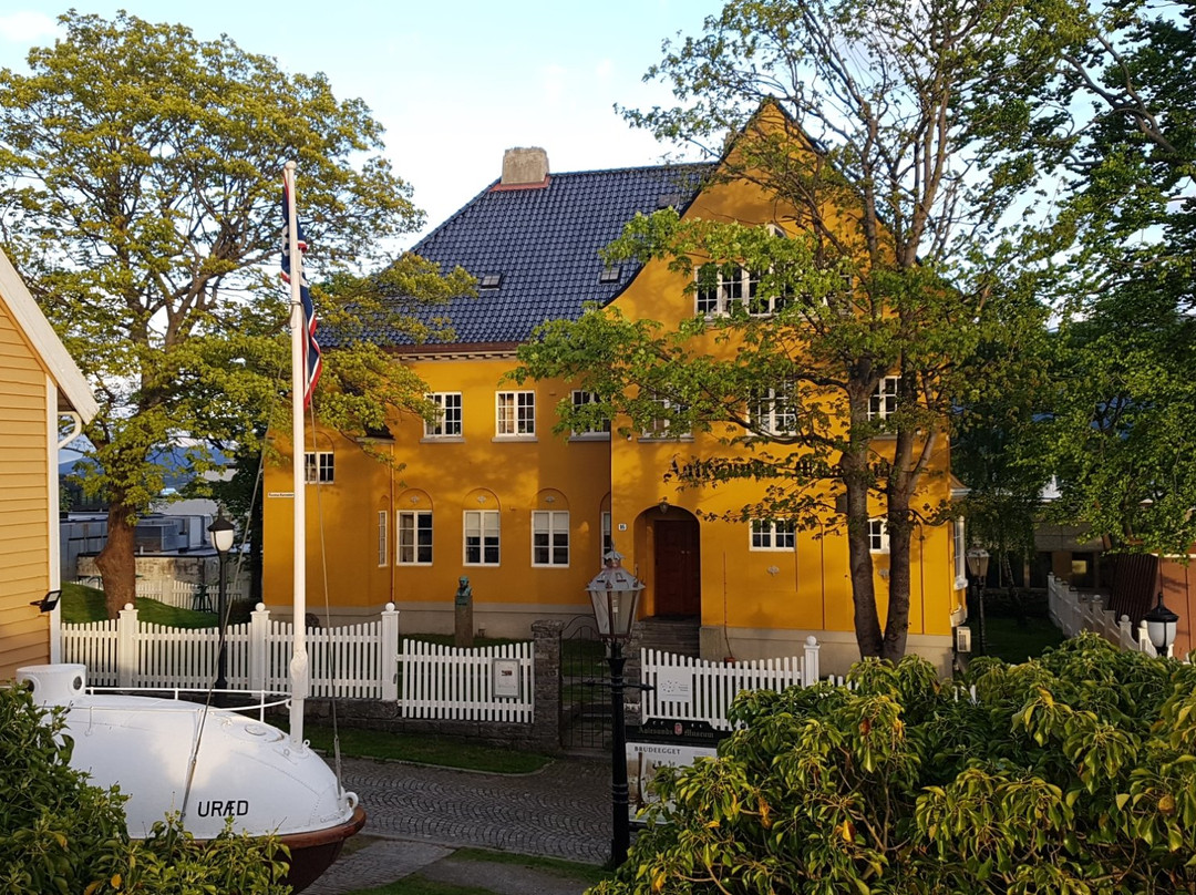 Aalesunds Museum景点图片