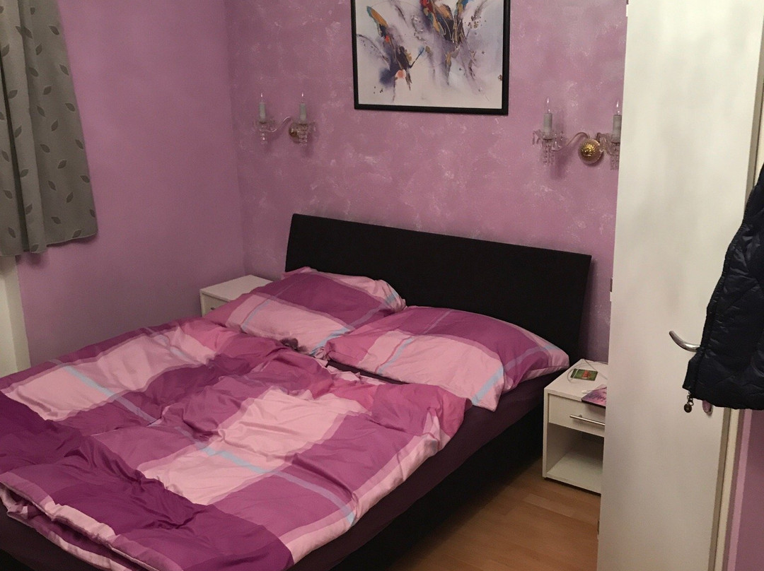 A.V.E. Pension Kliska主图