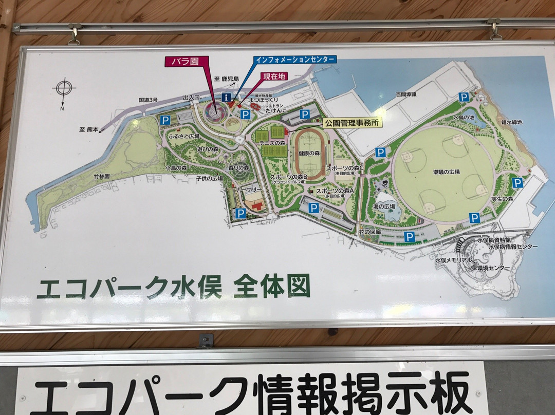 Eco Park Minamata-水俣市必去景点