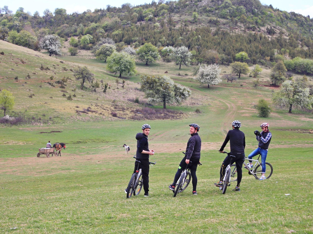 TransyBike - Day Tours景点图片