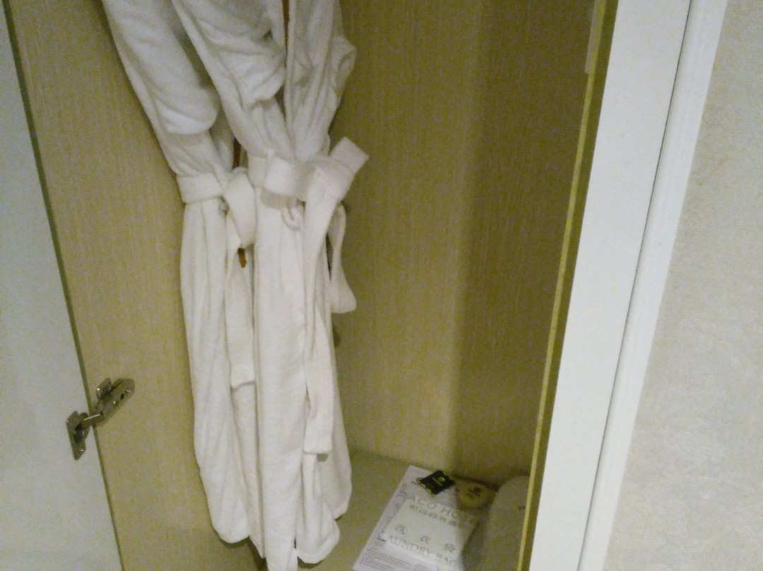 广州柏高商务酒店白云路店主图