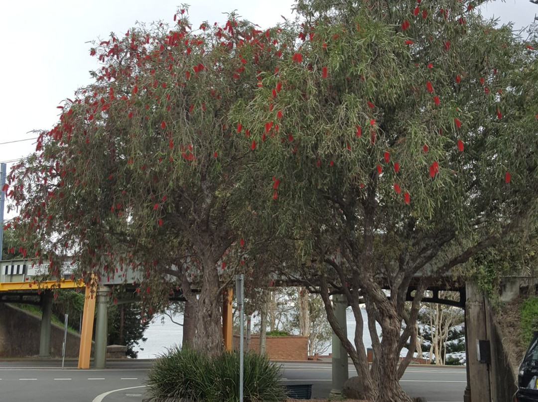 Kiama Municipal Council-凯马必去景点