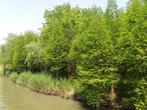 泰州溱湖风景区科普馆-泰州市必去景点