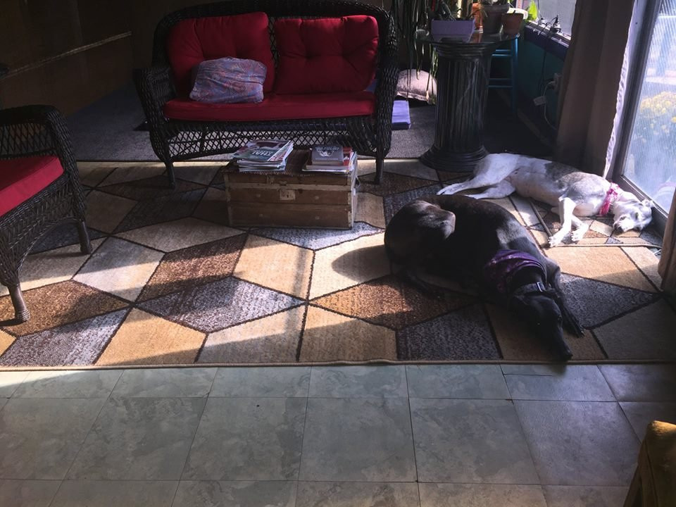 Y Chromosome Massage-Milford必去景点