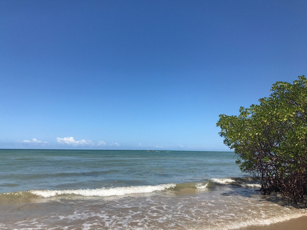 Quinta Praia (Praia do Encanto)景点图片