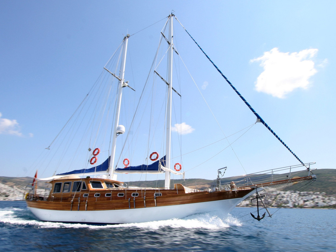 NIS Yachting景点图片