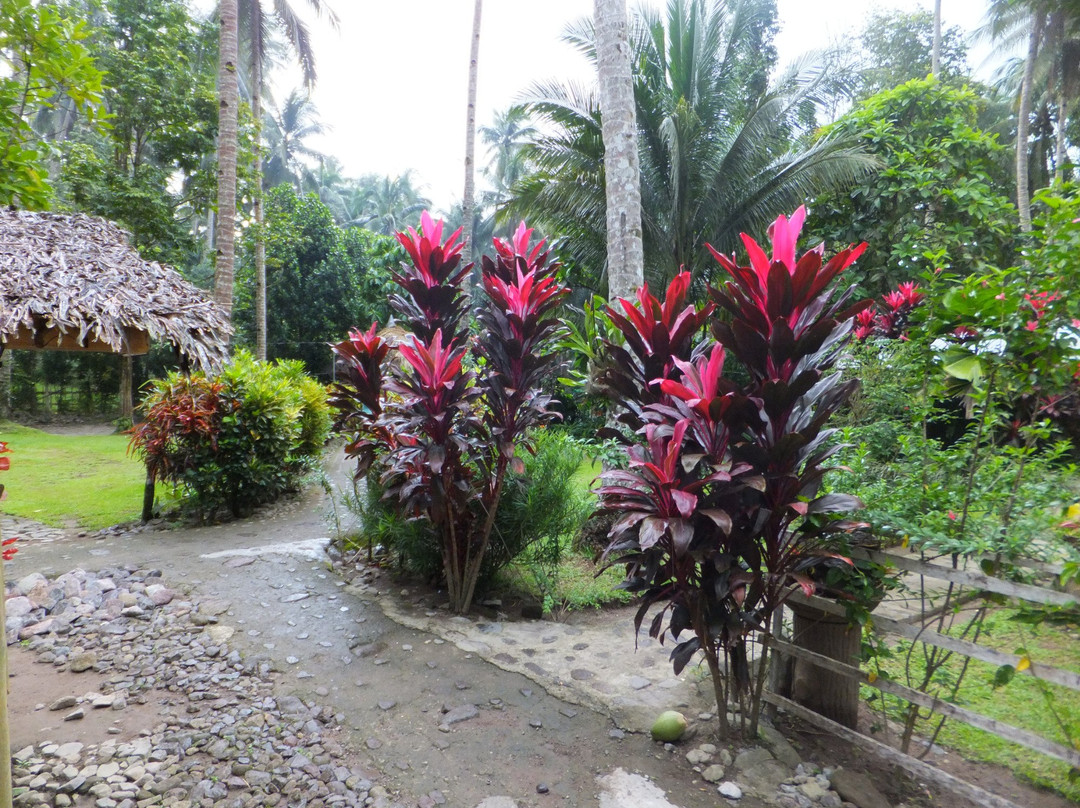 Castanas Spring Resort-Abuyog必去景点