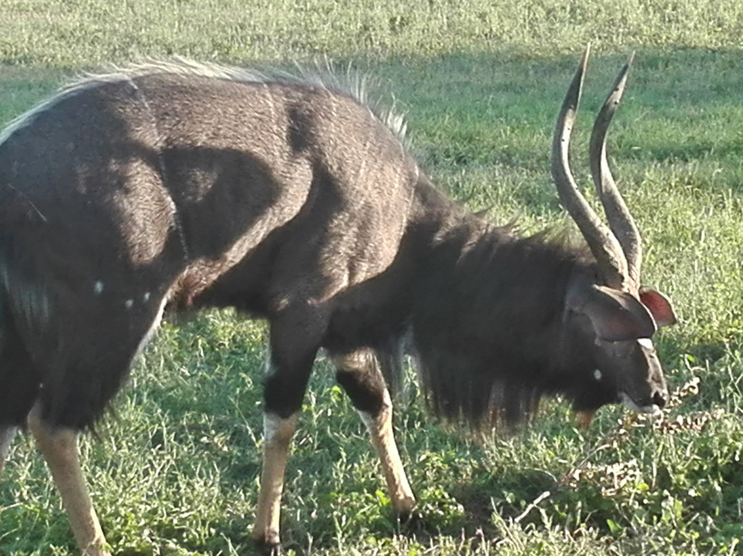 Trenchgula Game Reserve