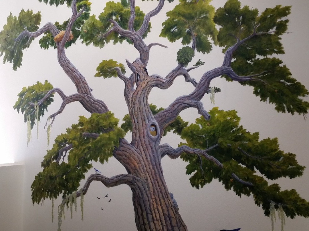 California Nature Art Museum-索尔万必去景点