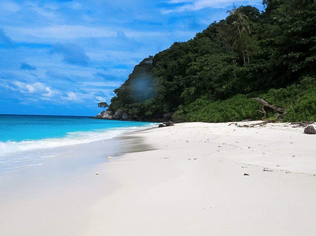 B & J Dive Resort