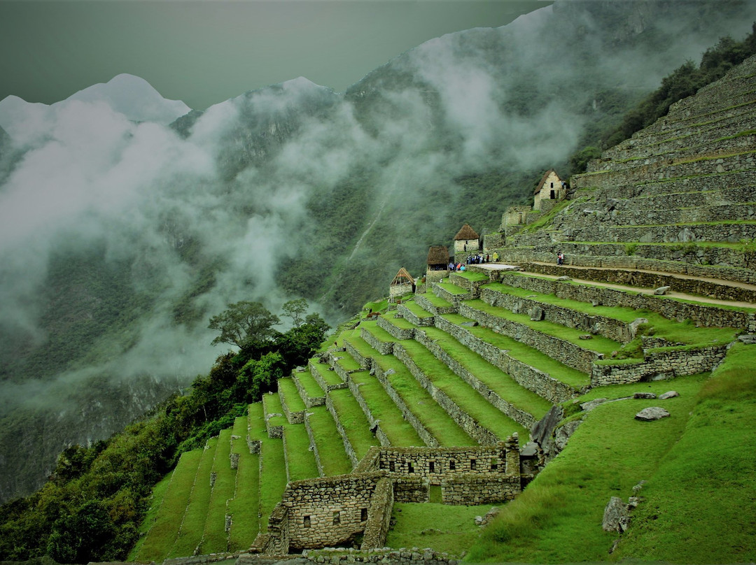 Jungle World Travels - Day Tours-利马必去景点