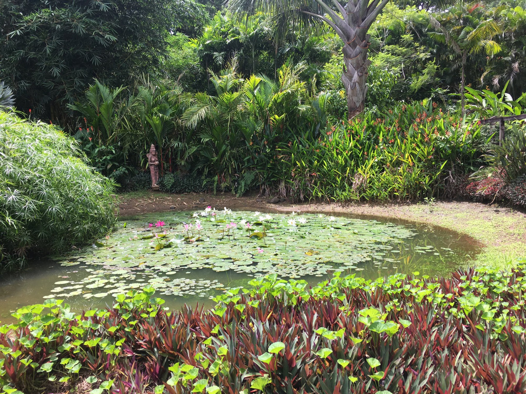 Flora Tropica Gardens-萨武萨武必去景点