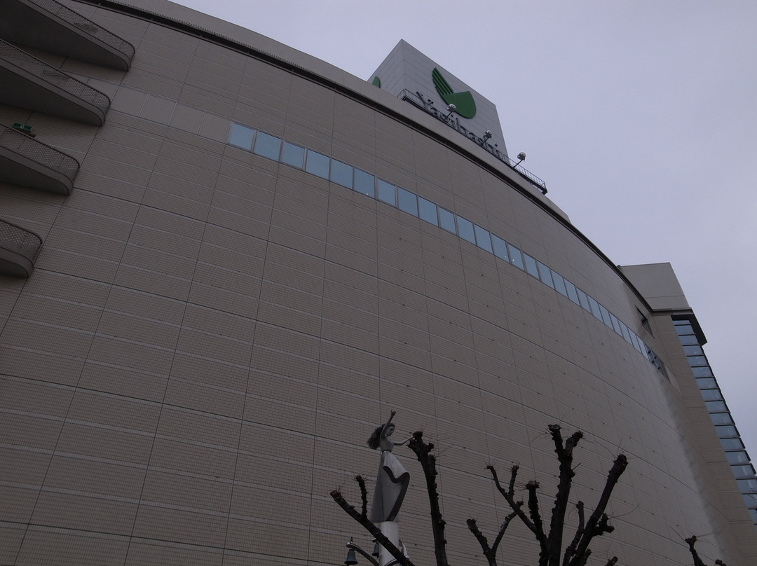 Yagihashi Department Store-熊谷市必去景点