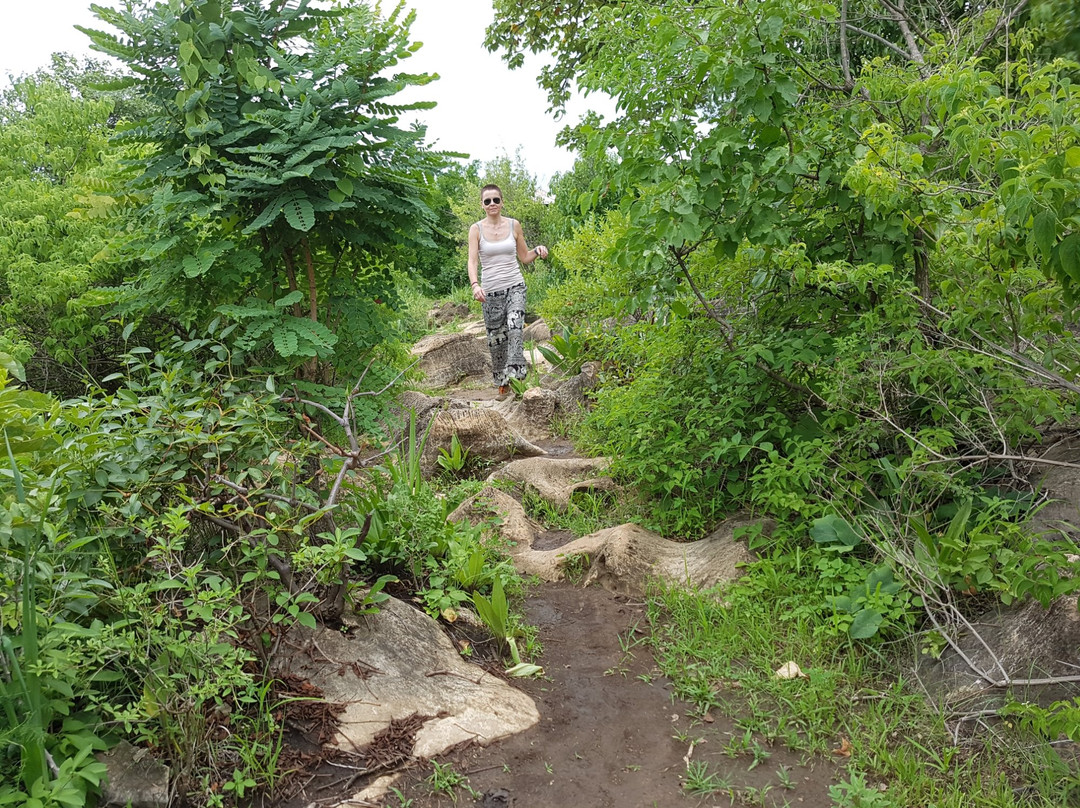 Mbozi Meteorite-姆贝亚必去景点