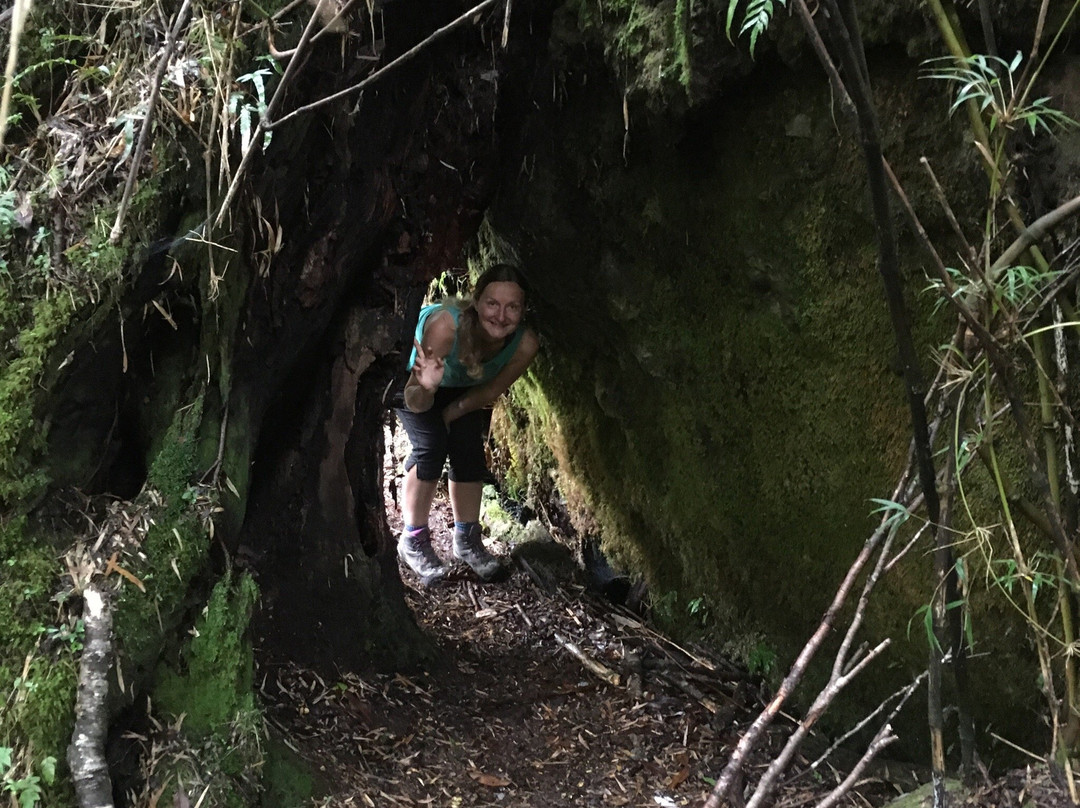 Ventisquero Yelcho-Chaiten必去景点