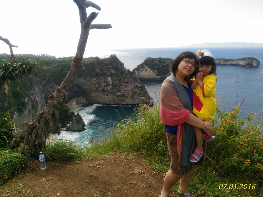 Anton Nusa Penida Tours-珀尼达岛必去景点