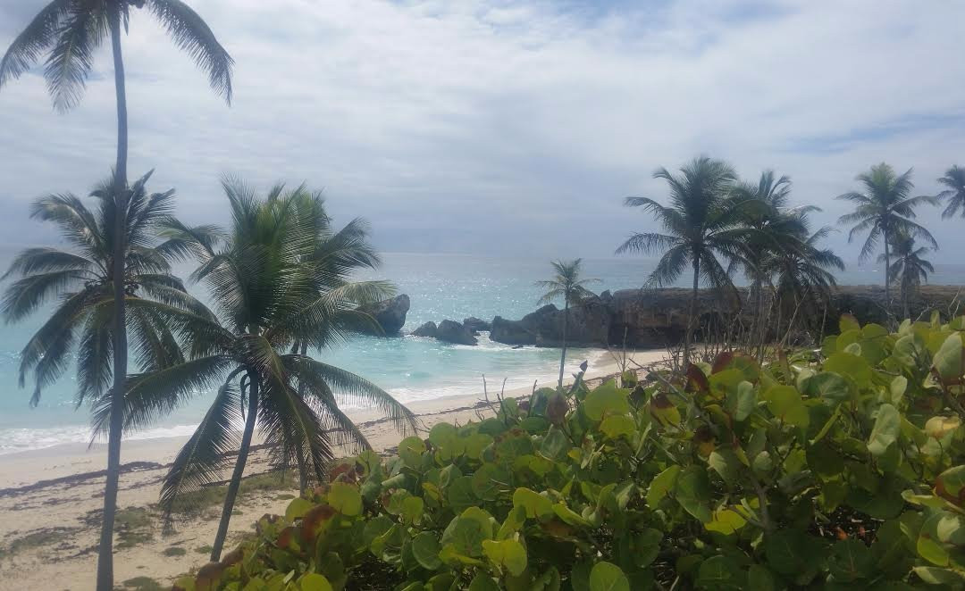 Harrismith Beach-Bottom Bay必去景点