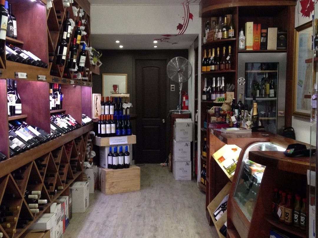 Santiago Wine Club Lastarria景点图片