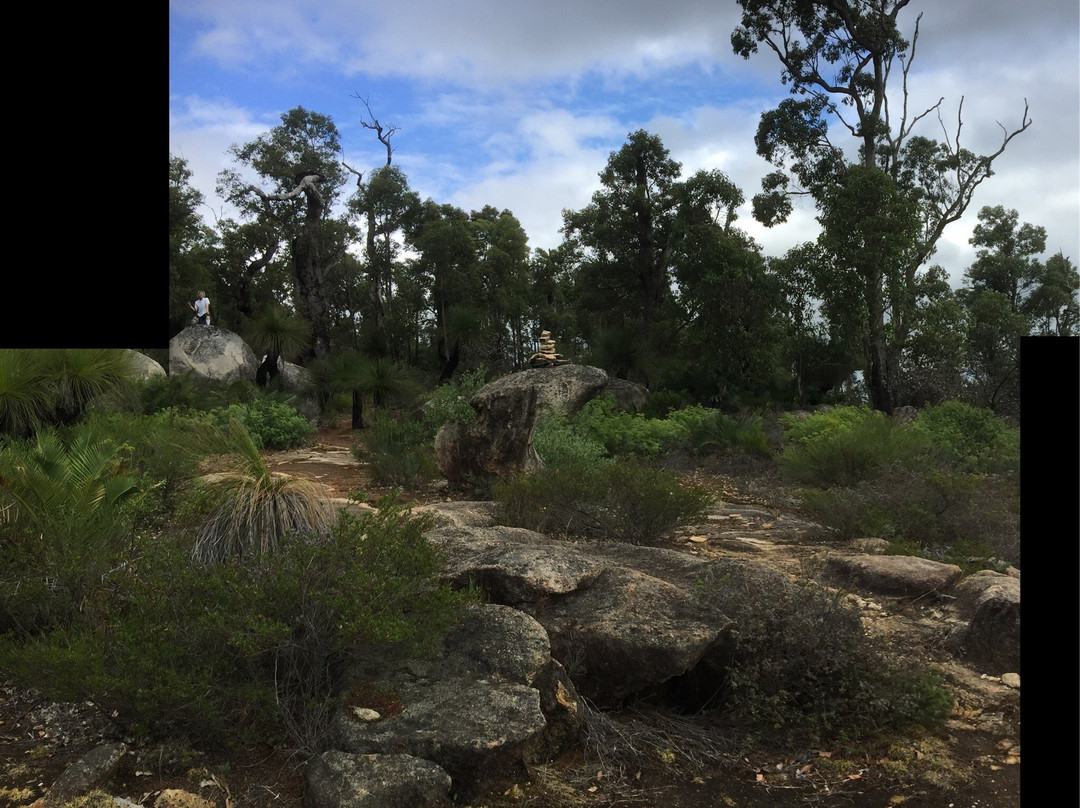 Mount Cooke-Darling Downs必去景点