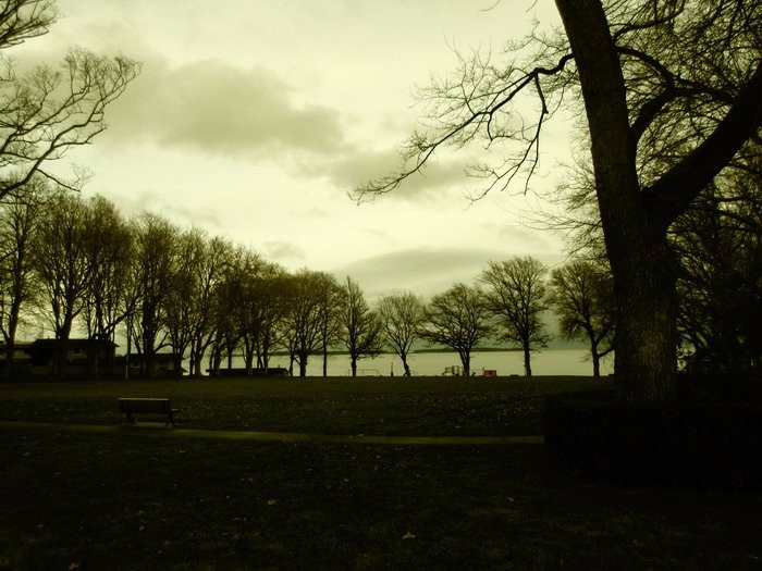 Willows Park-维多利亚必去景点