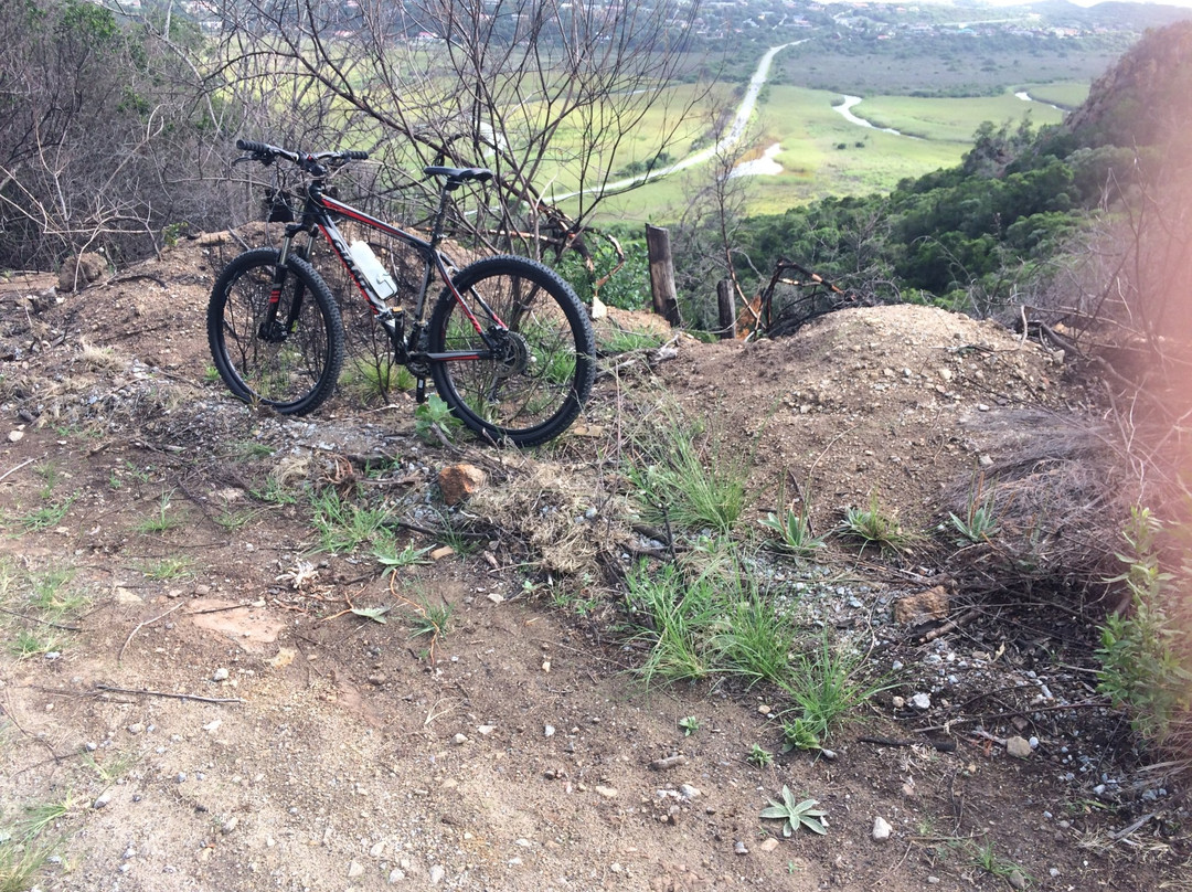 Sixty 53 Sixty Bicycle Rentals-荒野必去景点