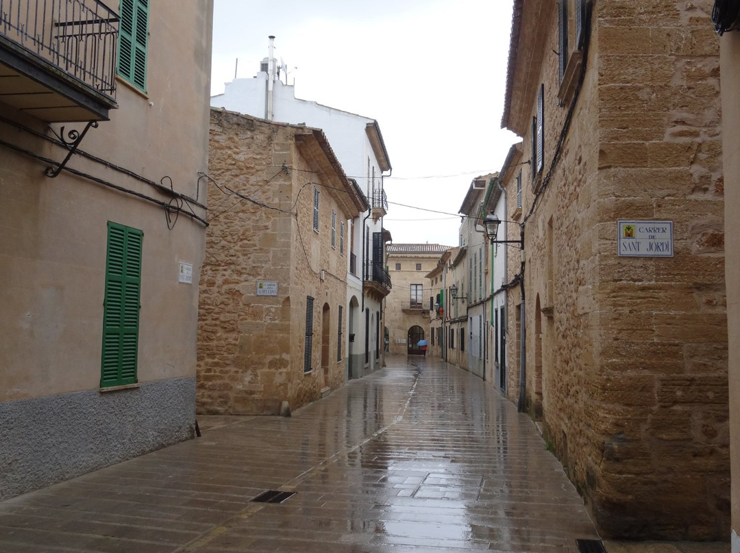 Fundacio Biblioteca d'Alcudia Can Torro-阿库迪亚必去景点