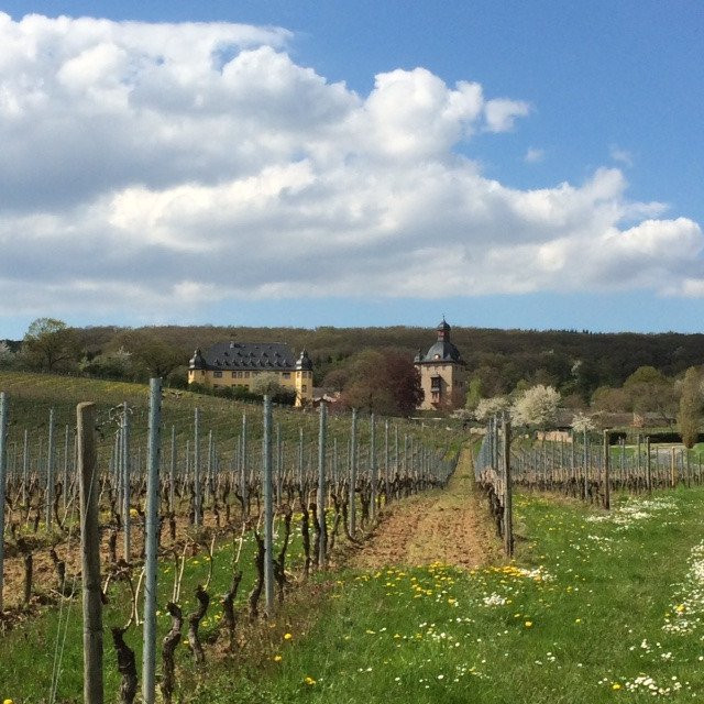 Rheingau Tours-Eltville am Rhein必去景点