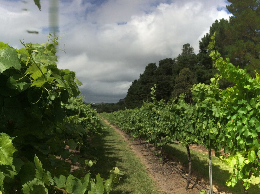 Marist Wines-Mittagong必去景点