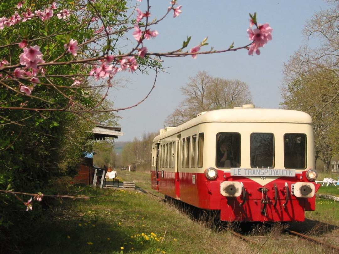 Office de Tourisme de Puisaye-Forterre - Accueil de Saint Sauveur en Puisaye景点图片